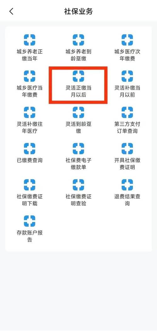 2021年养老保险新标准_2025年养老保险缴费标准_2020年养老保险缴费新政策