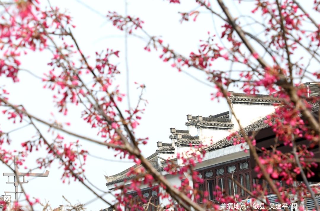 黄山旅游有限公司待遇_黄山旅游发展股份有限公司招聘_黄山旅游招聘信息