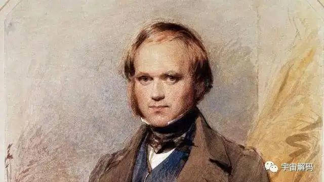 达尔文的进化论主要贡献是_达尔文进化论自然选择共同祖先