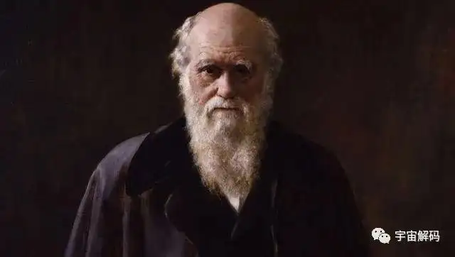 达尔文进化论自然选择共同祖先_达尔文的进化论主要贡献是