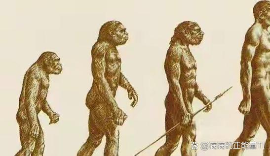 达尔文的进化论主要贡献是_达尔文进化论自然选择共同祖先