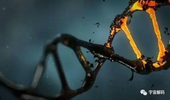 达尔文进化论自然选择共同祖先_达尔文的进化论主要贡献是