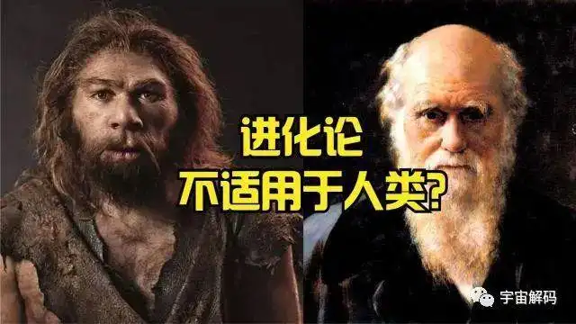 达尔文进化论自然选择共同祖先_达尔文的进化论主要贡献是