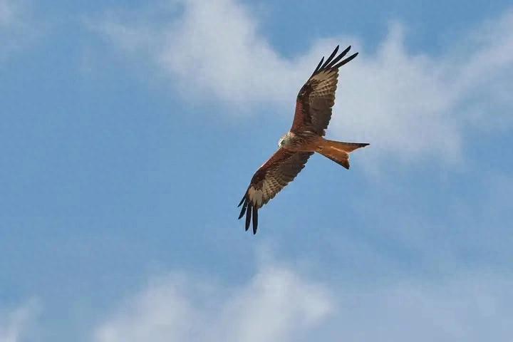 如何以更低成本和更小风险做空期权获利？看空期权原理揭秘