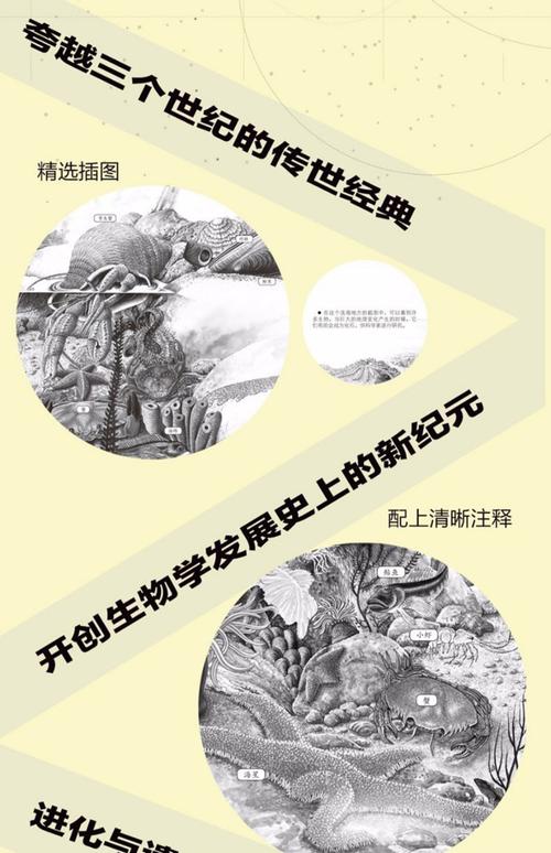 达尔文进化论 核心观点 自然选择 适者生存_达尔文的进化论主要贡献是