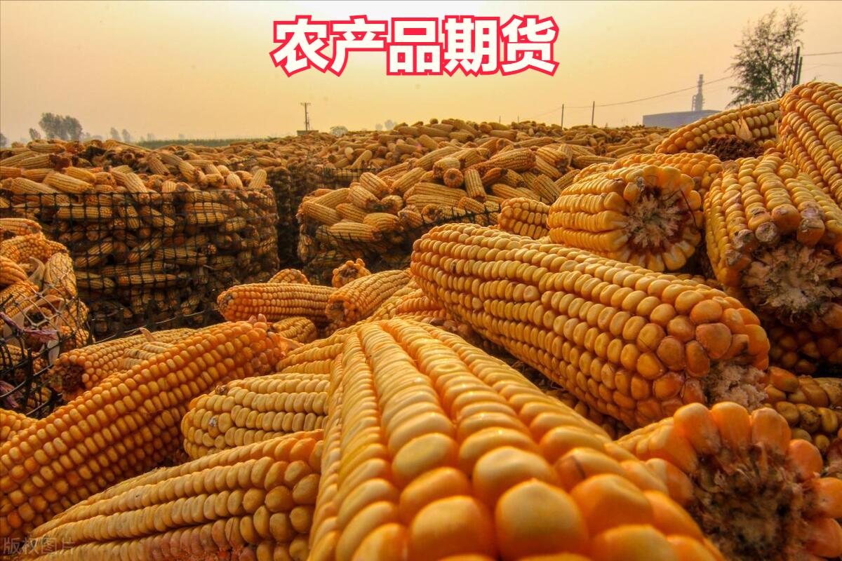 期货交易模式_外汇的概念及特征是什么_期货市场风险管理