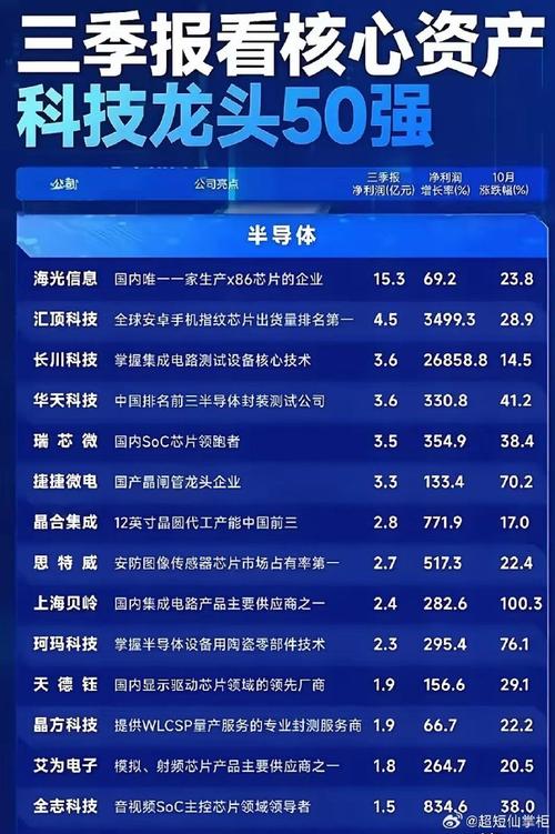 中国芯片龙头股票有哪些_龙头芯片股票中国有几家_国内龙头芯片