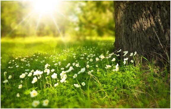 货币基金有风险吗