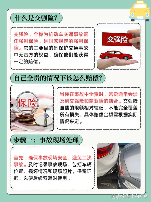 同等责任交强险自己保险公司赔偿_同等责任交强险赔付_同等责任强险怎么赔付