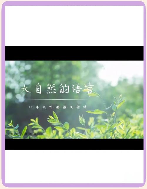 探索大自然的语言奥秘，在自然中寻找灵感与生命节奏韵律
