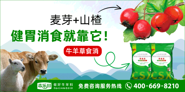 近几年活羊价格走势图_寒羊育肥母羔价格河南_寒羊育肥公羔价格河北