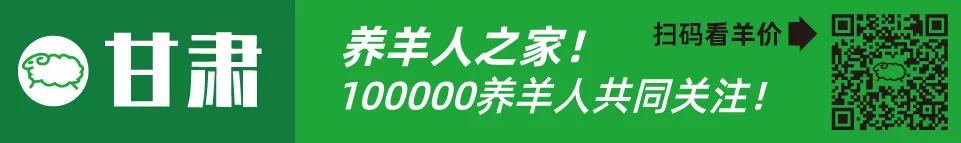 寒羊育肥公羔价格河北_寒羊育肥母羔价格河南_近几年活羊价格走势图