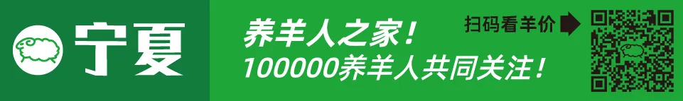近几年活羊价格走势图_寒羊育肥公羔价格河北_寒羊育肥母羔价格河南