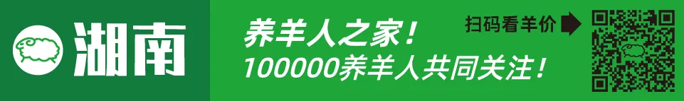 寒羊育肥母羔价格河南_近几年活羊价格走势图_寒羊育肥公羔价格河北