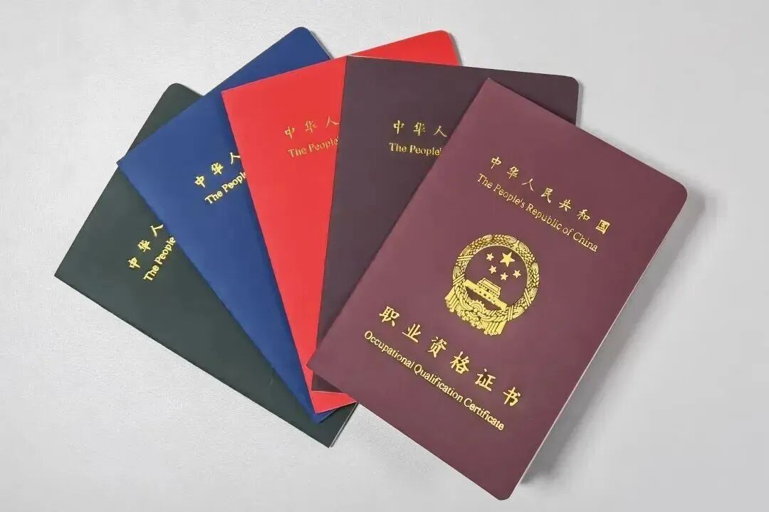 中国人力资源和社会保障部官网_专业技术人员职业资格_职业资格目录