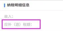 余额宝能查别人的纳税_个人所得税APP收入明细查询功能_个人所得税APP收入纳税明细查询