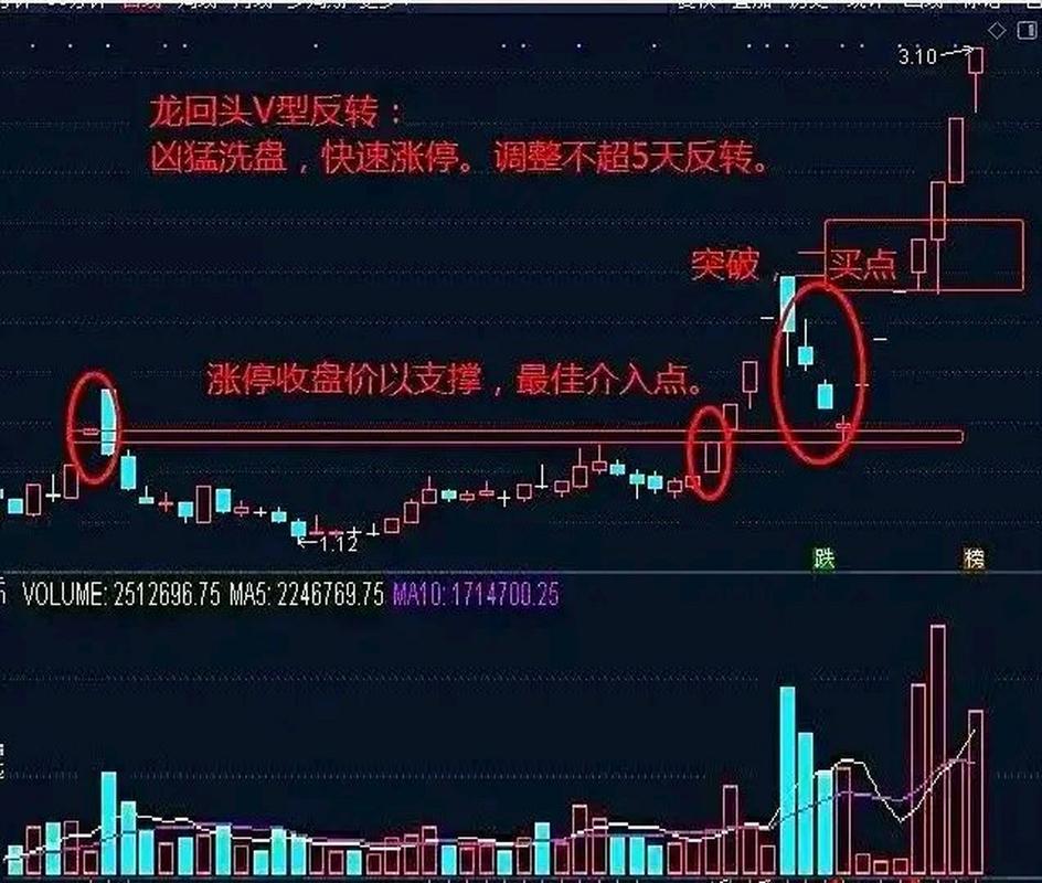 股票龙抬头是什么意思_龙头股龙回头形态_龙回头战法选股标准