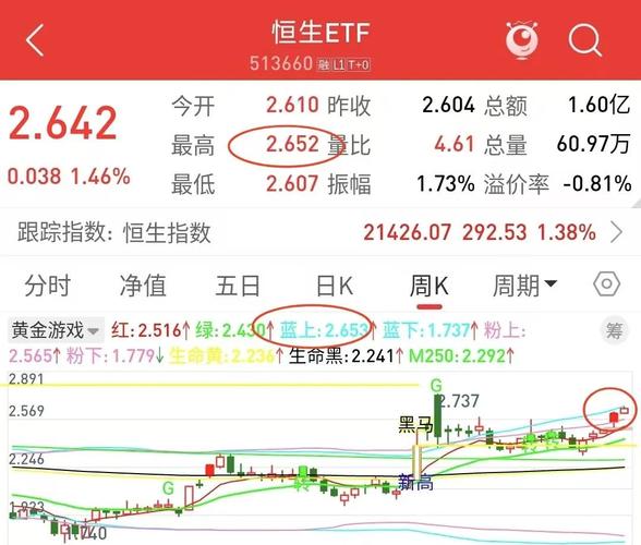 怎样看基金走势图_恒生科技ETF投资策略_市场调整阶段定投