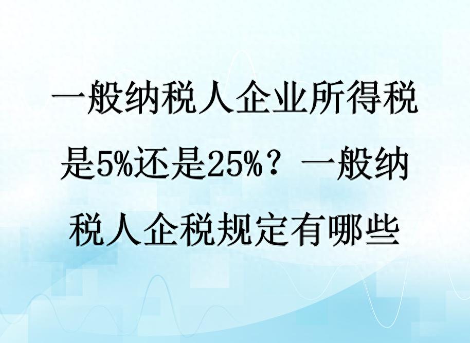 一般纳税人企业所得税税率_一般纳税人企税规定_咨询业企业所得税率