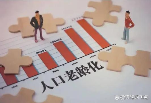 四川省企业职工基本养老保险基金收支缺口成因及对策研究_养老保险基金缺口成因分析_广东养老保险问题研究