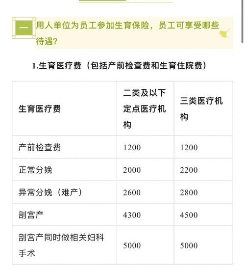 生育医疗费用报销流程_生育保险什么时候报销_生育保险缴费期限