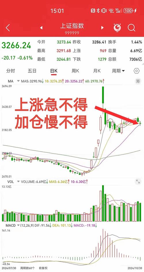 主力资金分析_筹码分布分析_深圳法本股份有限公司