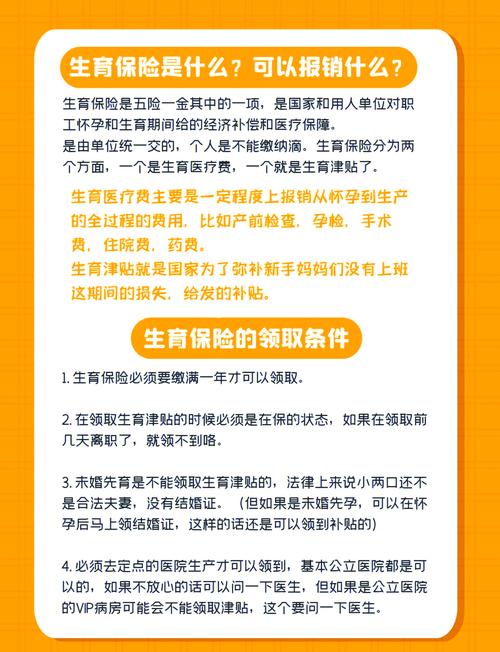 生育保险报销政策_生育保险报销流程2026_产检报销指南