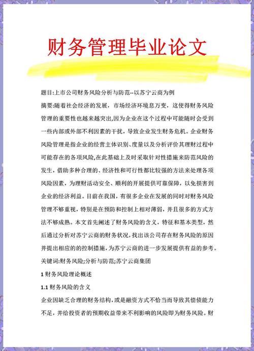关于企业财务风险的研究：内涵、现实意义与管理监测方法