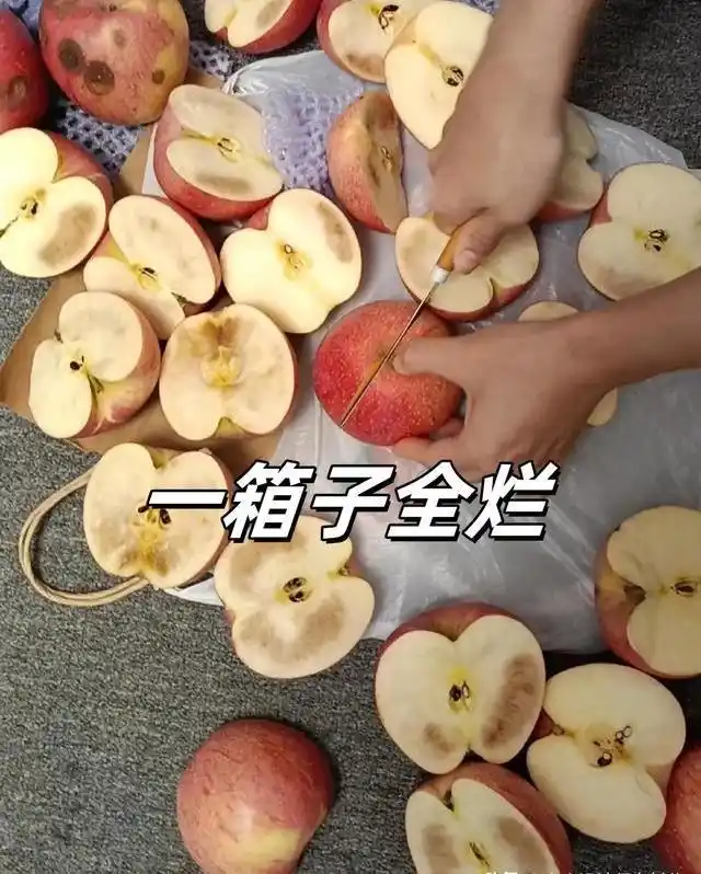 平台购物体验下降_网购没有运费险可以退吗_网购仅退款取消