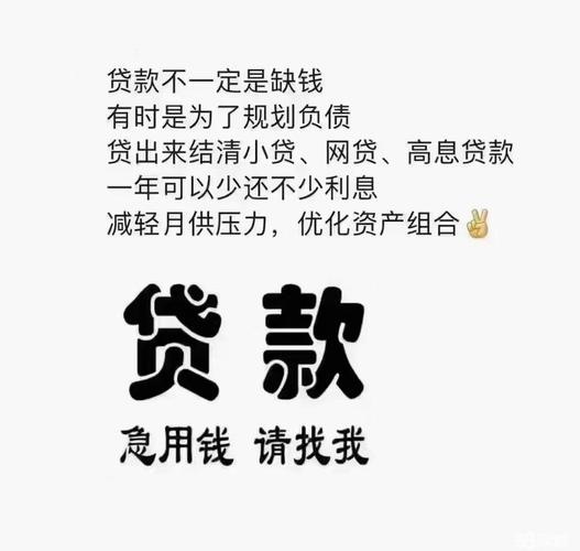 中国农村小额信贷风险管理研究论文_农村户口10万无抵押低息贷款_两类农户直接办