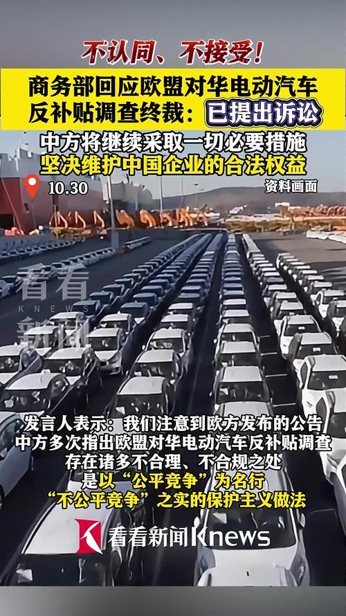 中国电动汽车欧洲市场竞争力_欧盟汽车保有量_中国电动汽车欧盟反补贴调查