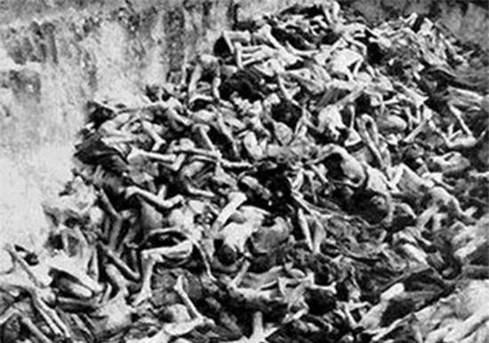 根源和背景的区别_根源背景历史社会变革_社会背景和历史根源