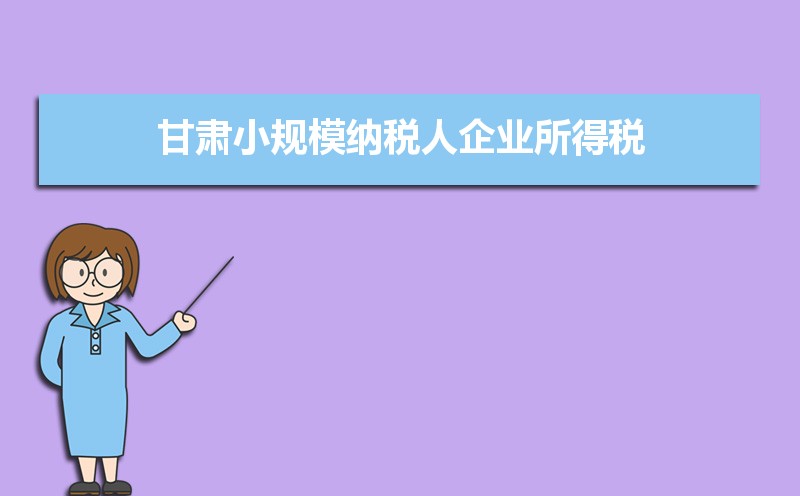 石嘴山小规模纳税人企业所得税增值税个人所得税计算方式和税率