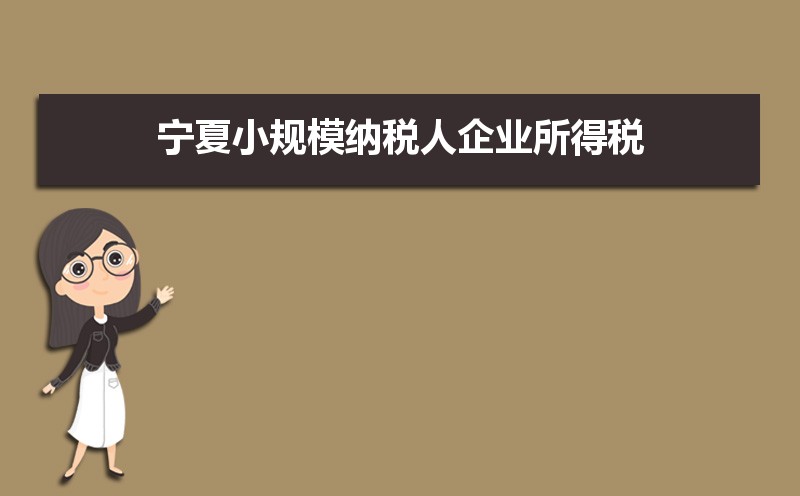 石嘴山小规模纳税人企业所得税增值税个人所得税计算方式和税率