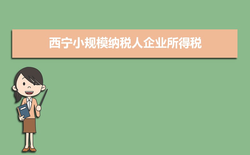 石嘴山小规模纳税人企业所得税增值税个人所得税计算方式和税率
