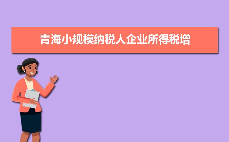 石嘴山小规模纳税人企业所得税增值税个人所得税计算方式和税率