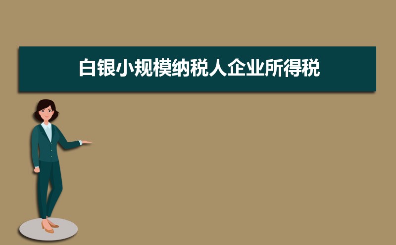 石嘴山小规模纳税人企业所得税增值税个人所得税计算方式和税率