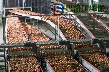 中国水下机器人公司排名_深圳市深云智能科技有限公司_中国水下机器人公司