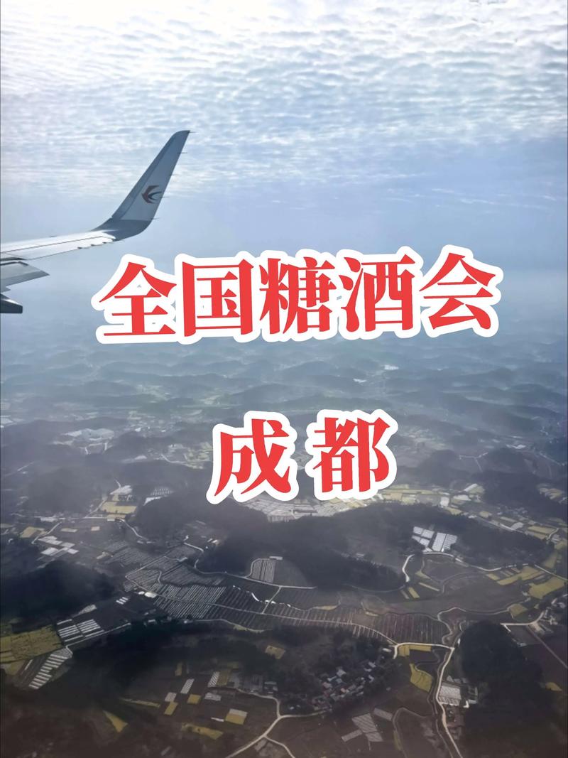 重庆商品展示交易会_重庆桥头食品有限公司 糖酒会 火锅底料经销商