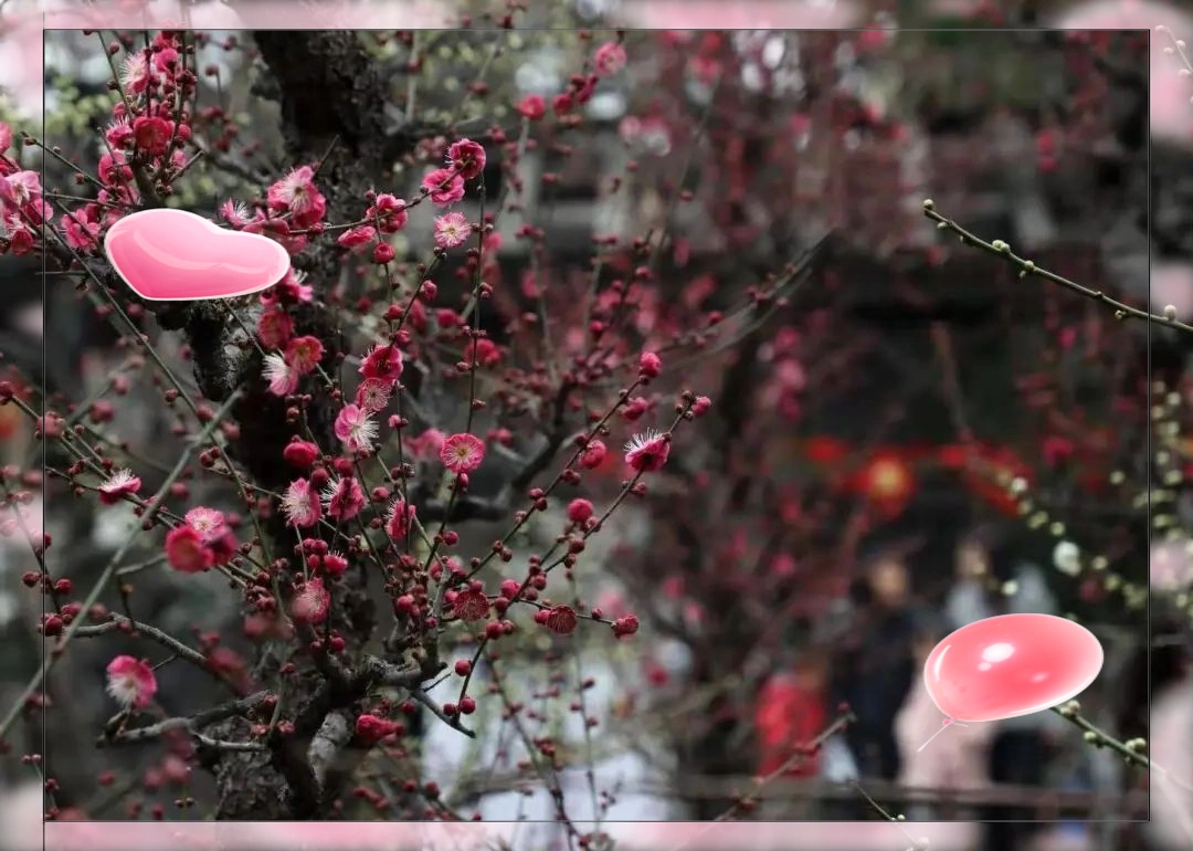 儒家文化在中国传统园林中的体现_儒家思想对古代传统园林建筑的影响_中国园林的设计思想是追求什么