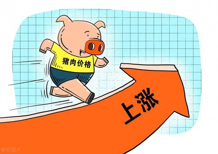 猪肉价格要涨了？这些养猪股票值得关注