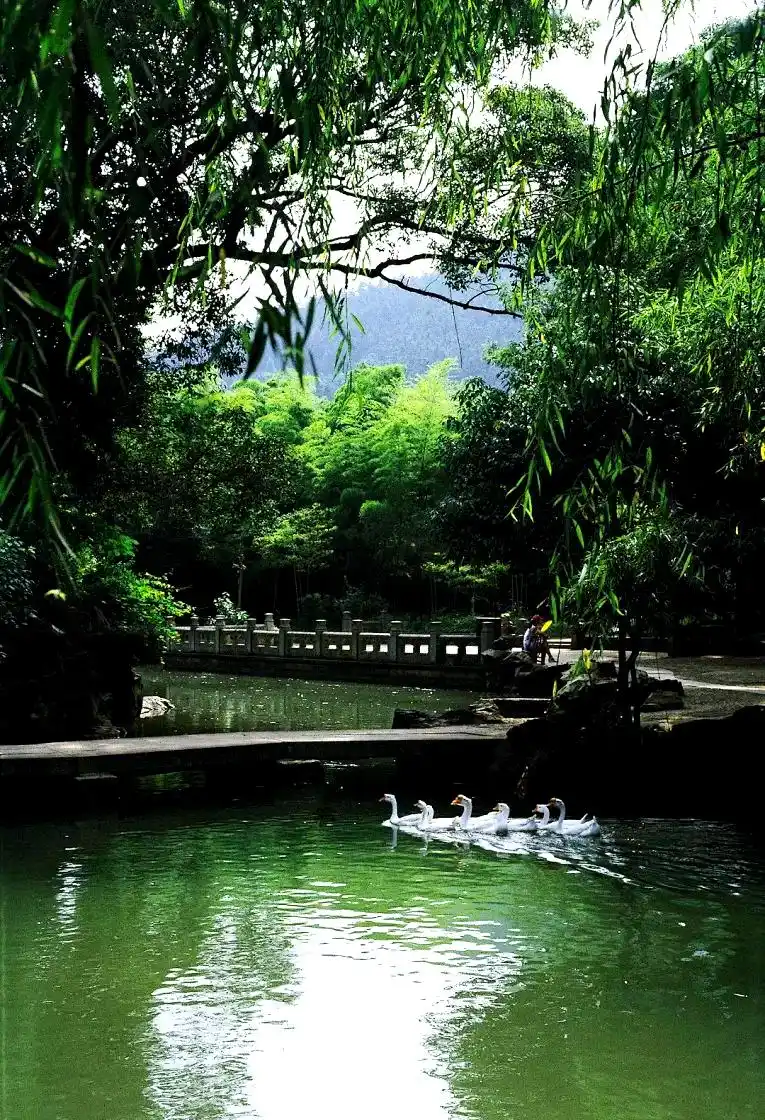 中国园林艺术天人合一理念_中国园林的设计思想是追求什么_师法自然核心理念因地制宜借景